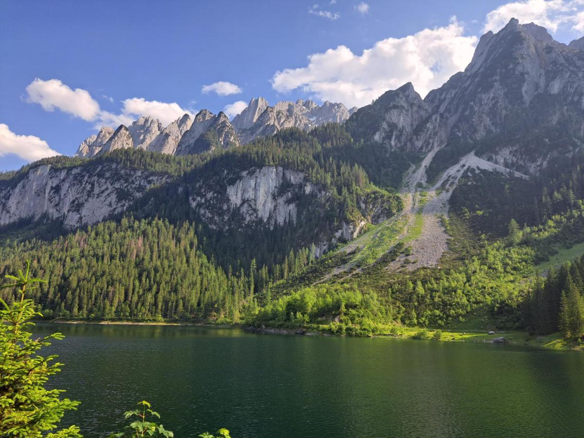 Gasthof Waldwirt Russbach am Pass Gschutt Εξωτερικό φωτογραφία