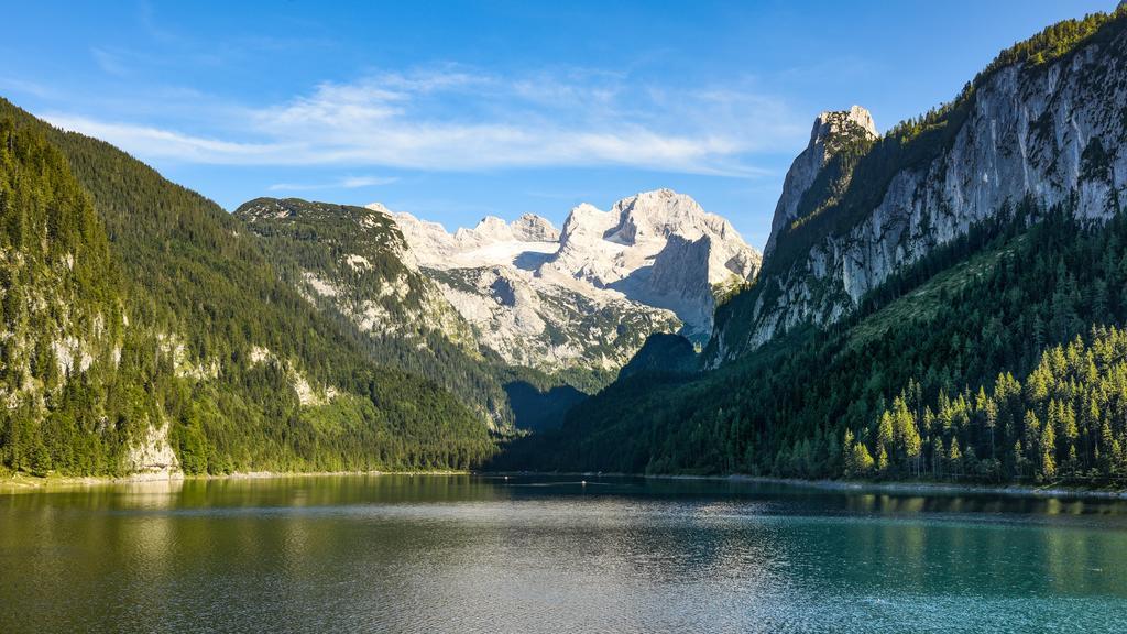 Gasthof Waldwirt Russbach am Pass Gschutt Εξωτερικό φωτογραφία