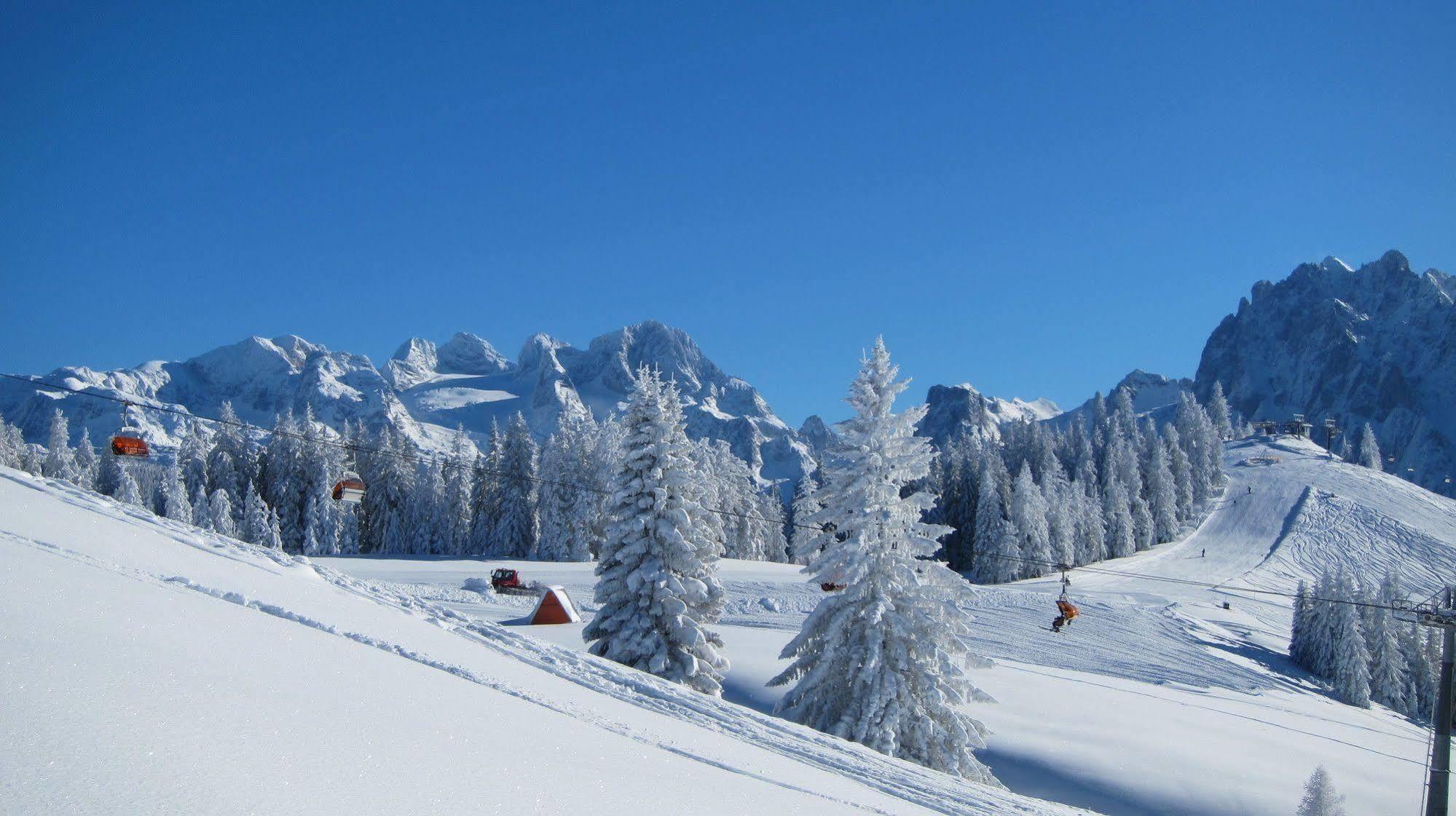 Gasthof Waldwirt Russbach am Pass Gschutt Εξωτερικό φωτογραφία